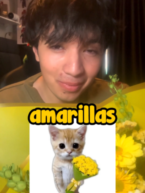 @TRASHITOmp4