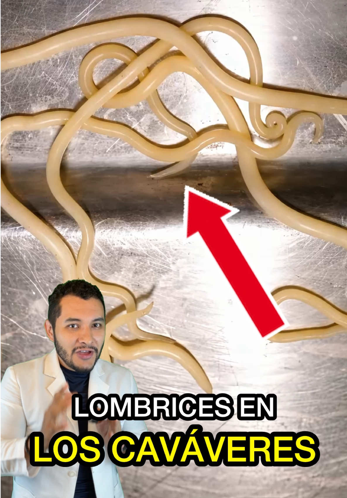 @Investigador Forense