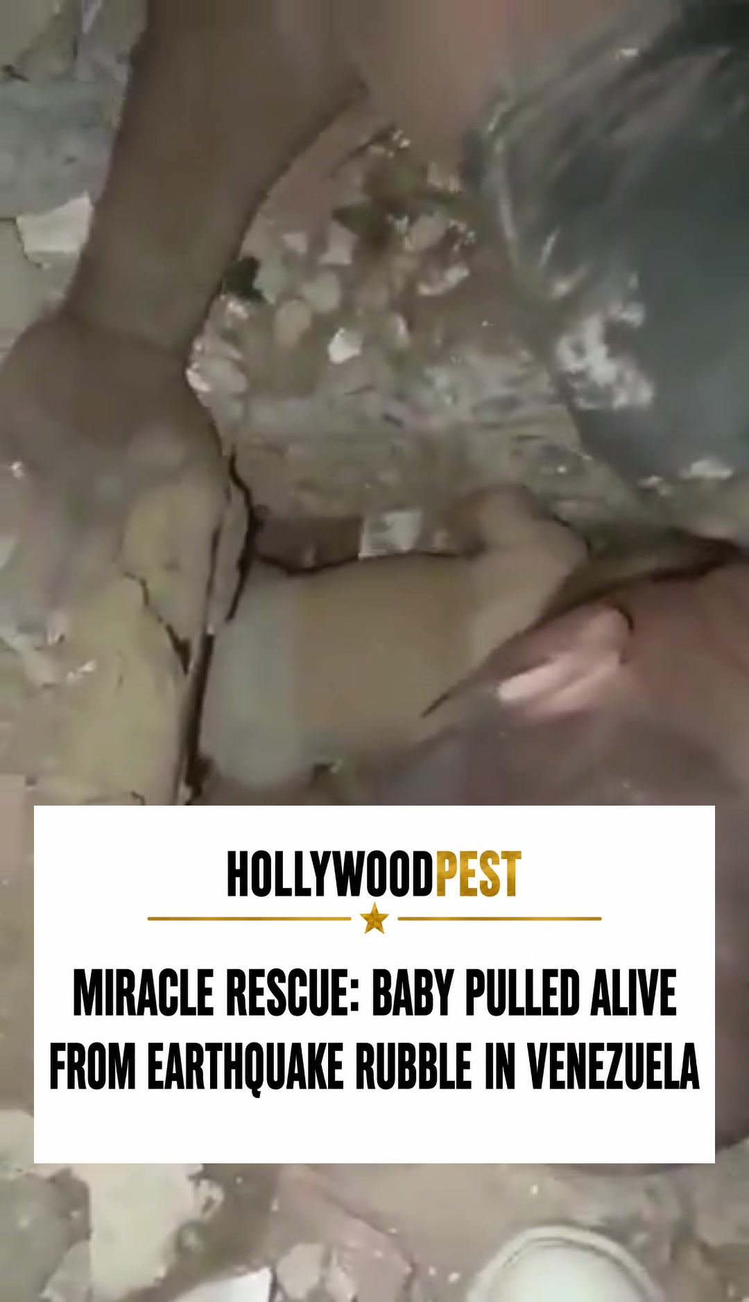 @hollywoodpest