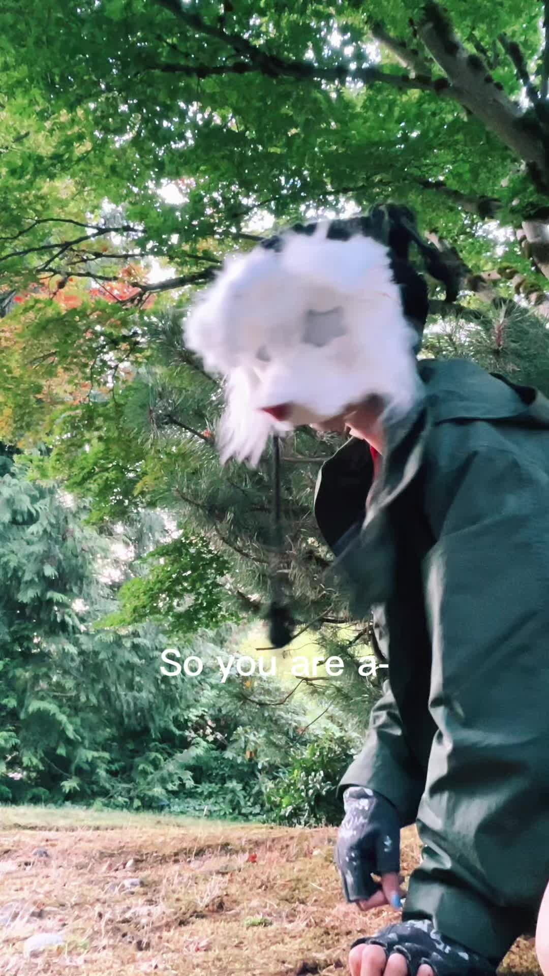 @Floyd._.paws