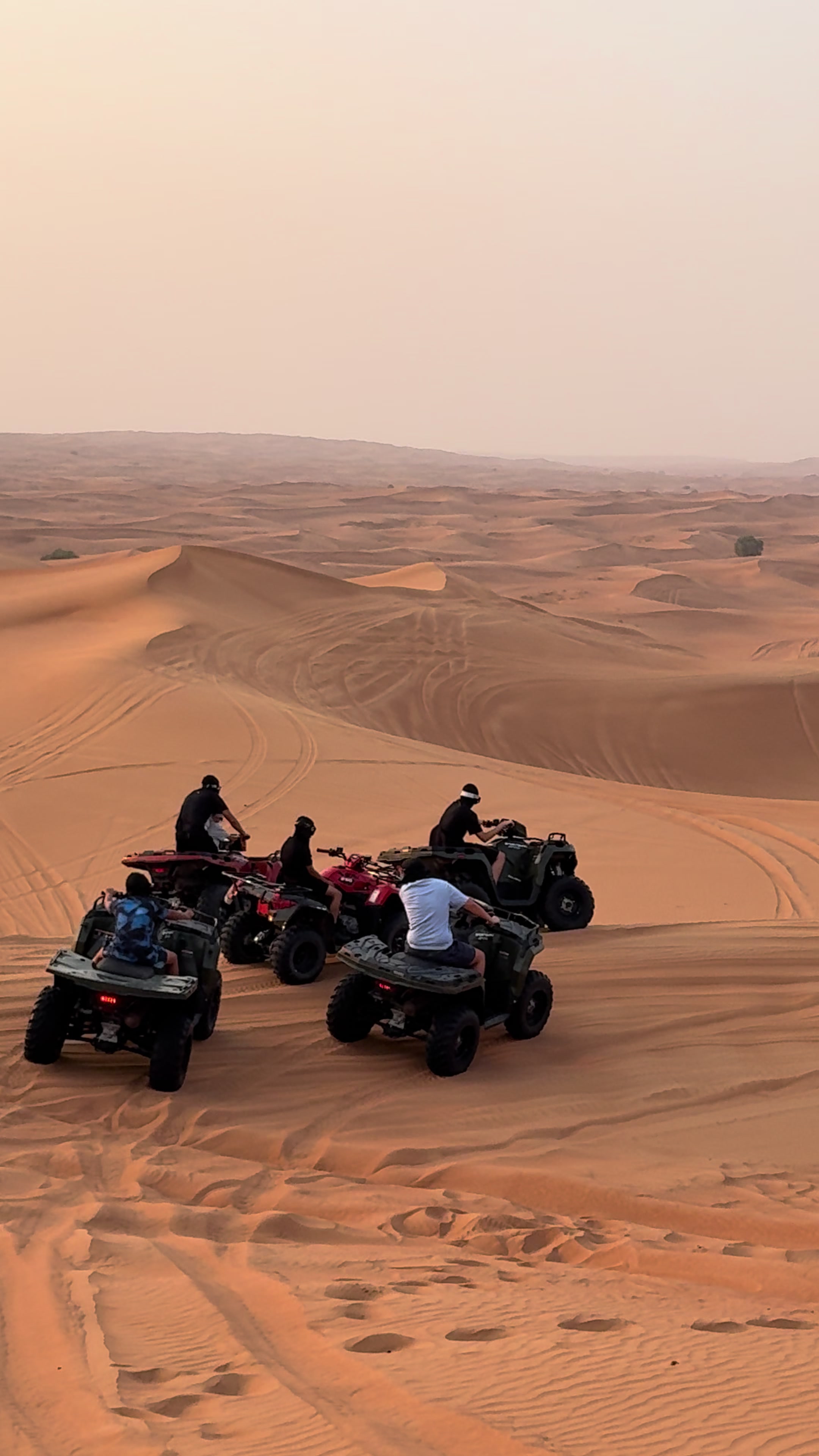 @DESERT SAFARI DUBAI