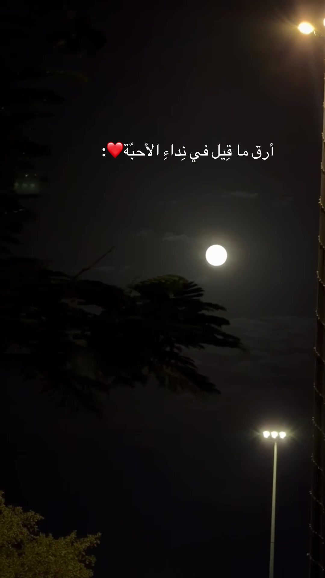 @﮼بنت ﮼شمر