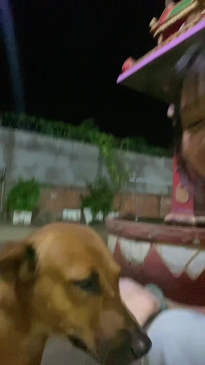 @Kaaaaa.