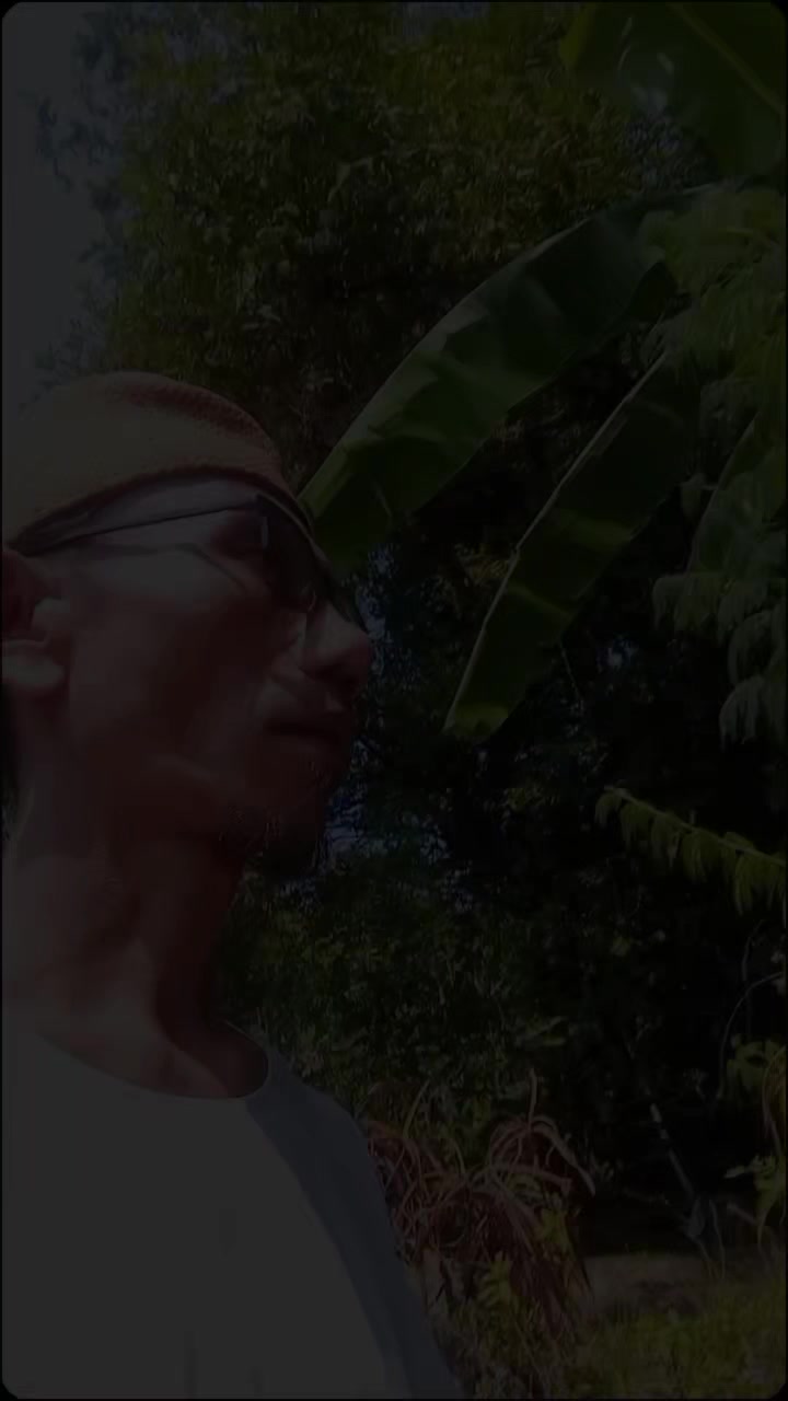 @Alfamory