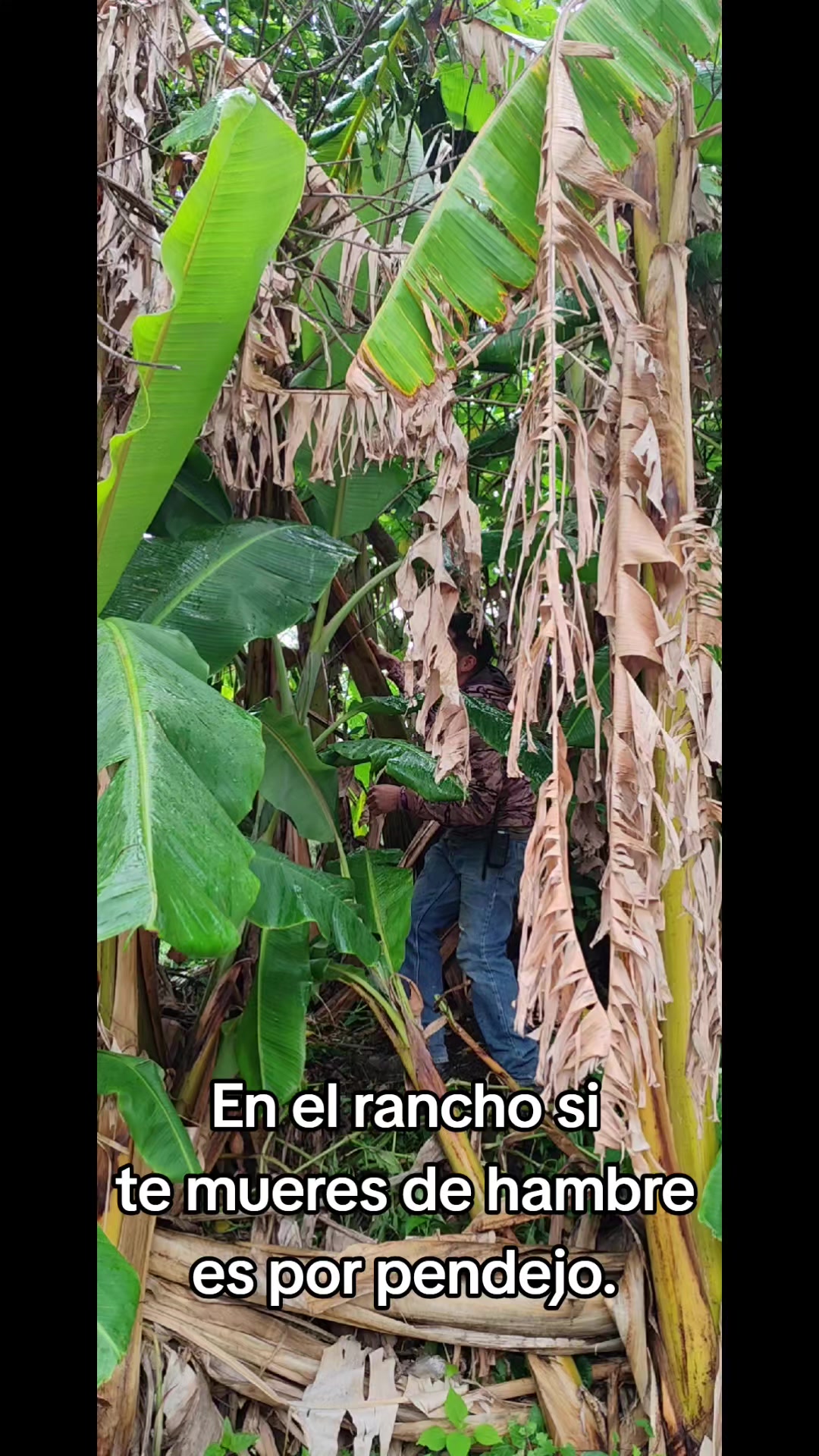 @Waldo Hernandez