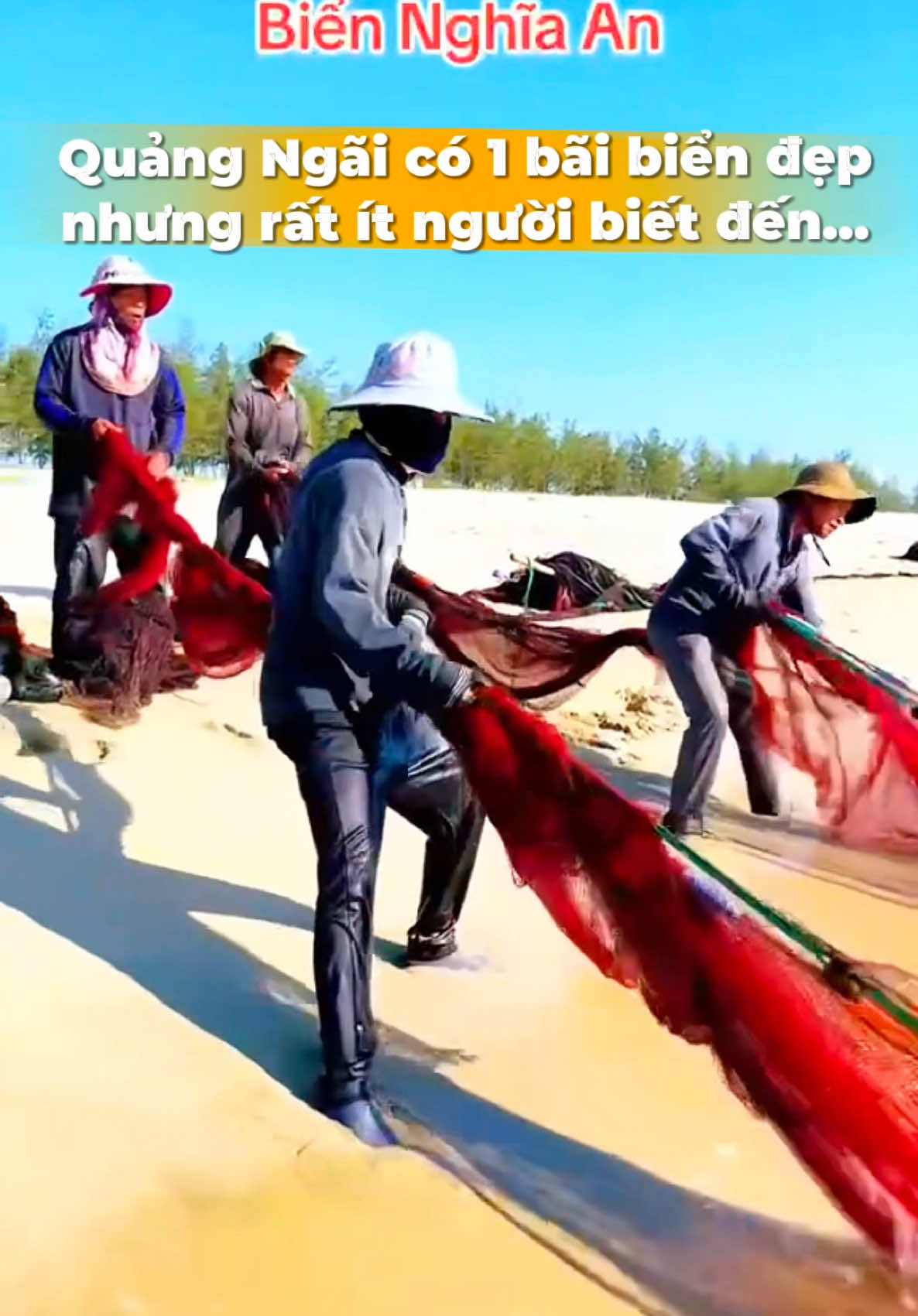 @Hoa Quỳnh