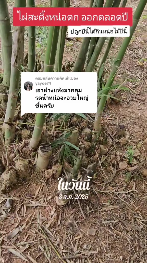 @นัดดาชอป