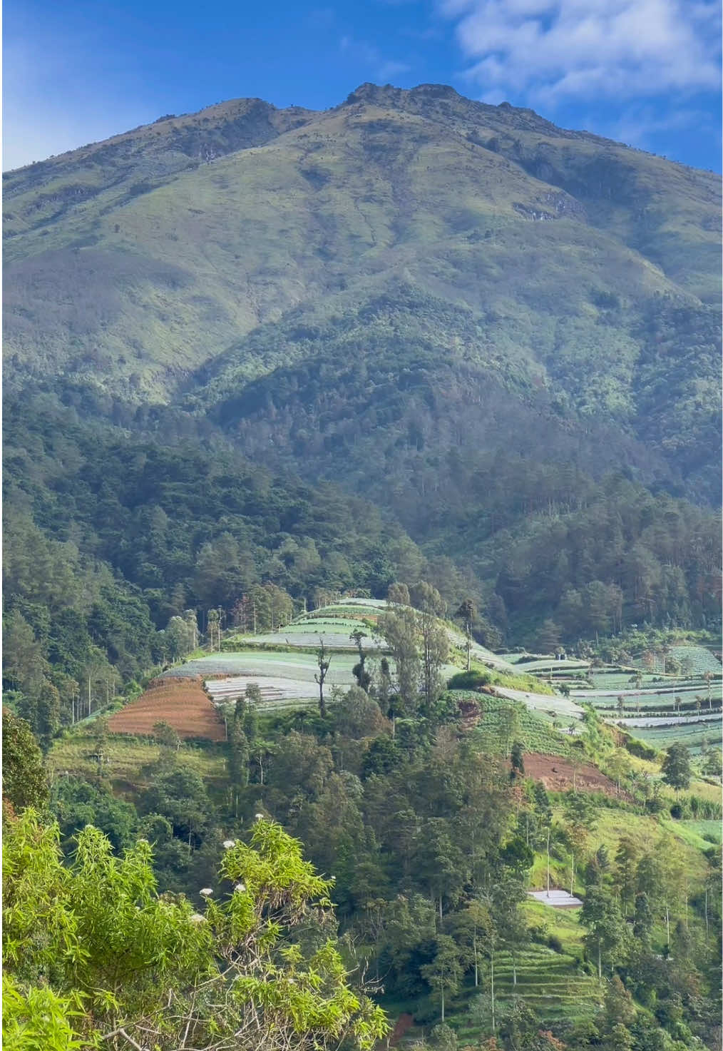 @Andres envies
