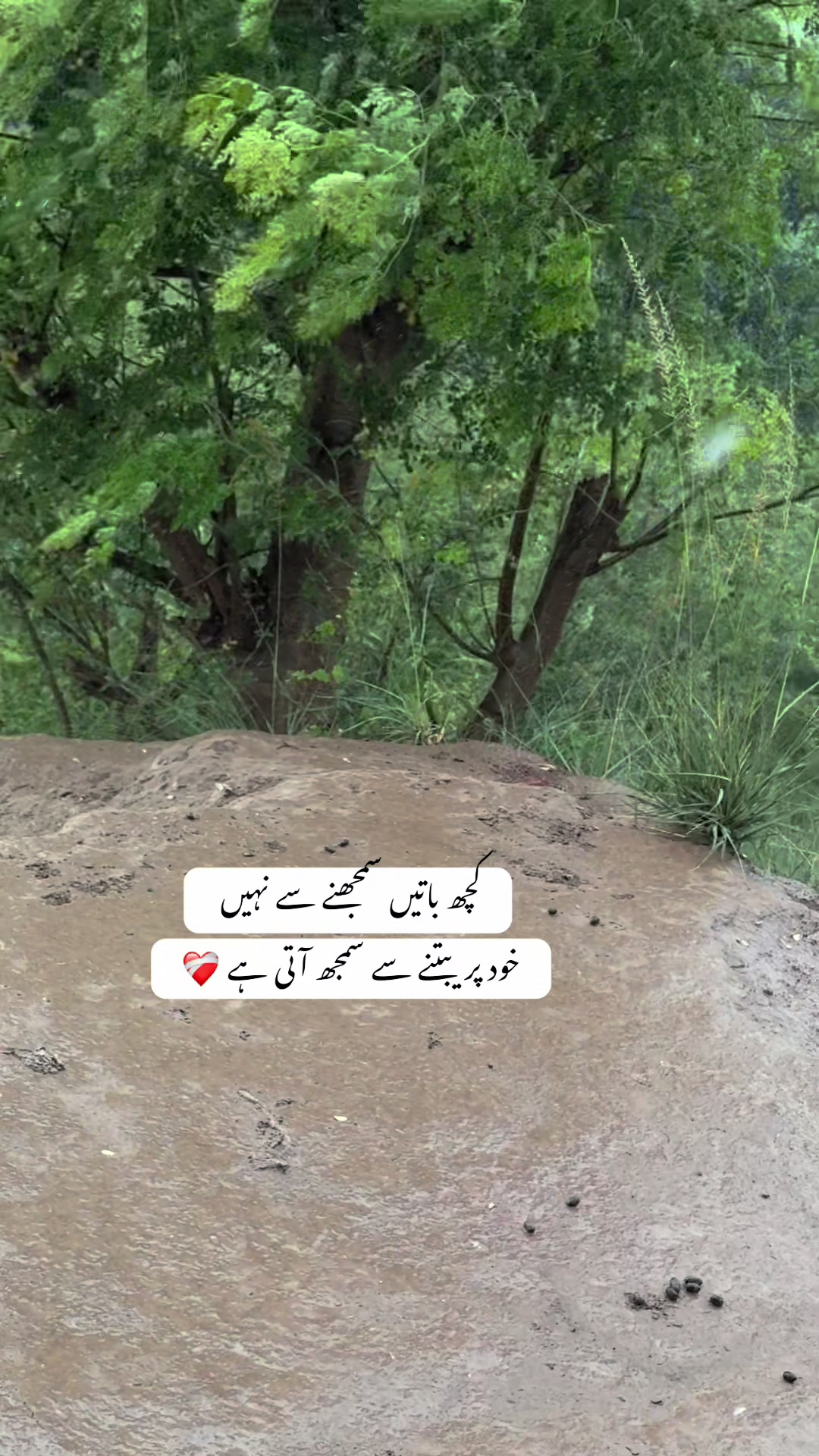 @🌸~