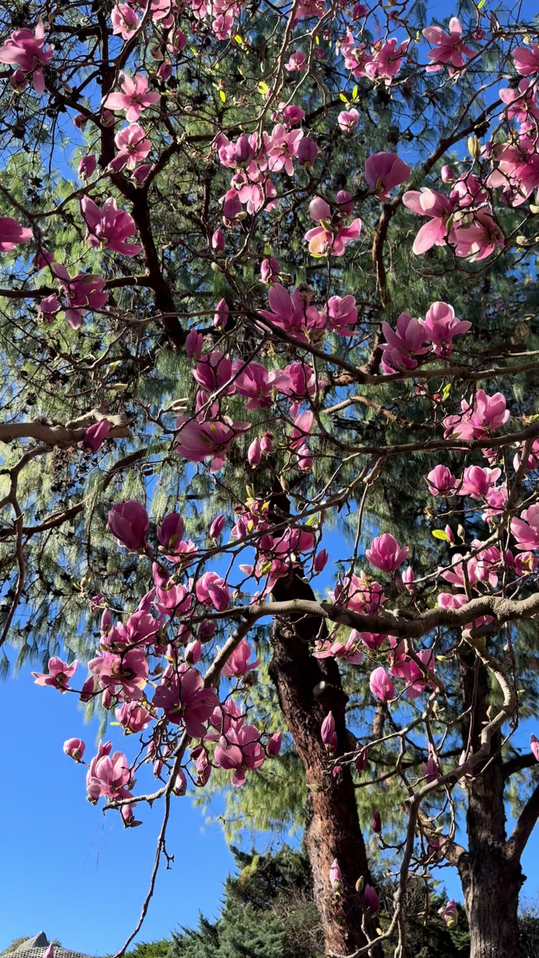 @Janaaaaaa_999🇦🇺