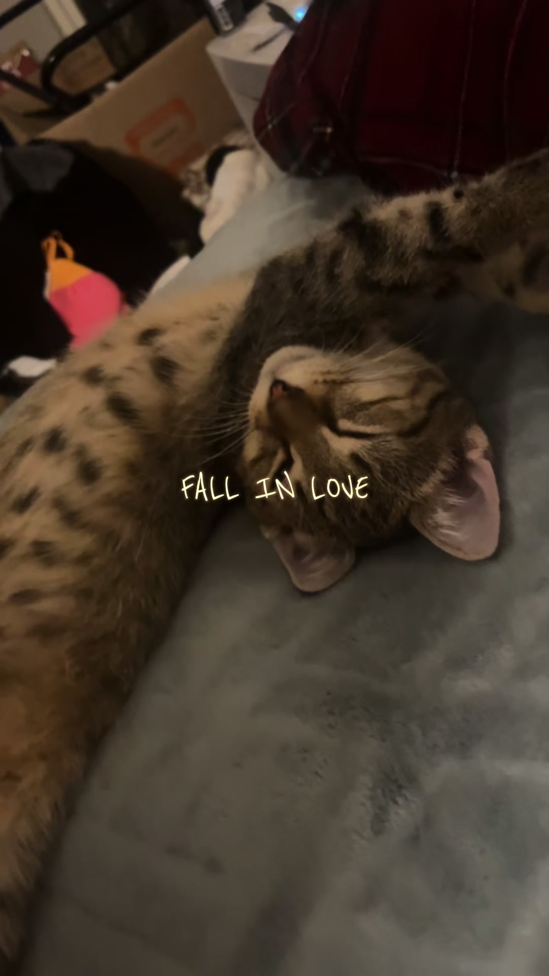 @<3