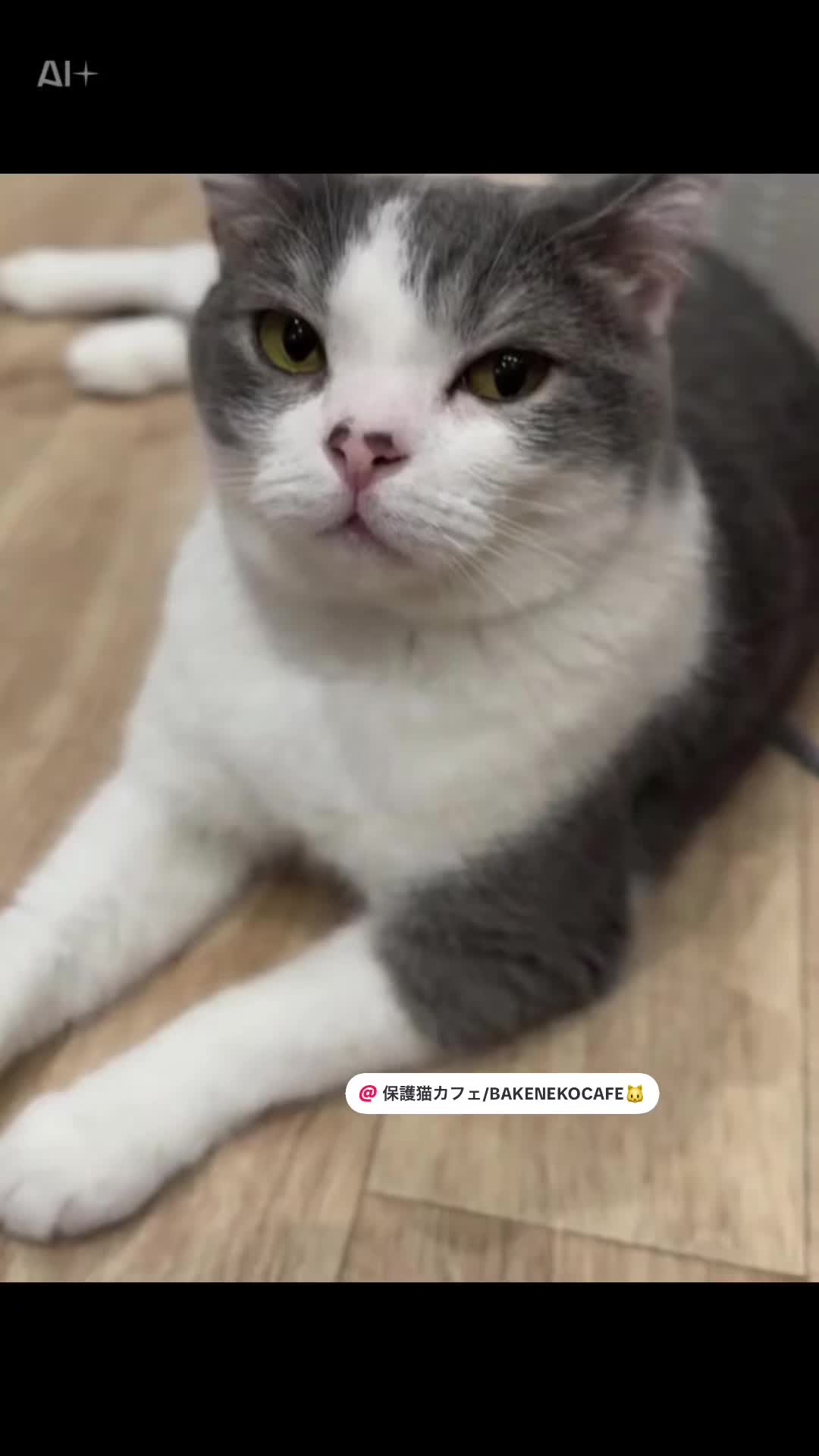 @ラブリーデイ
