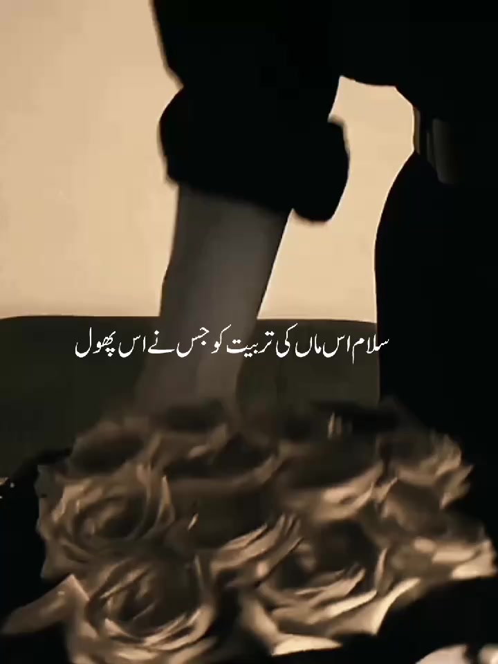@𝑰𝒕'𝒔 𝑴𝒆𝒆𝒓  ╾━╤デ╦︻