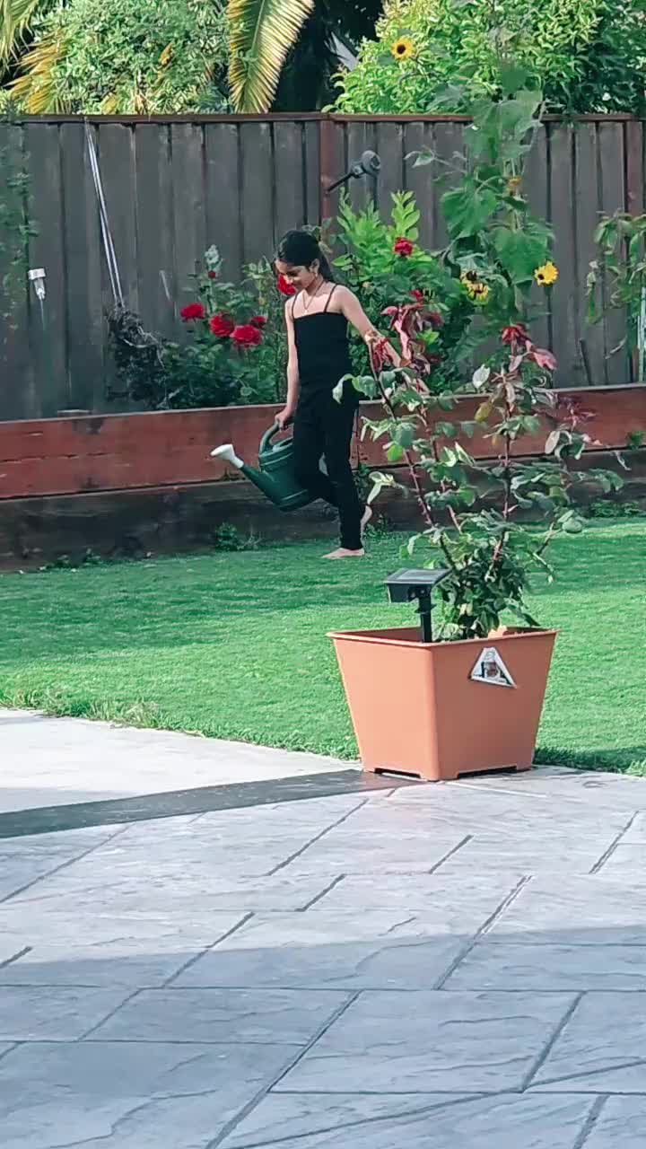 @Rattan Nri saaB
