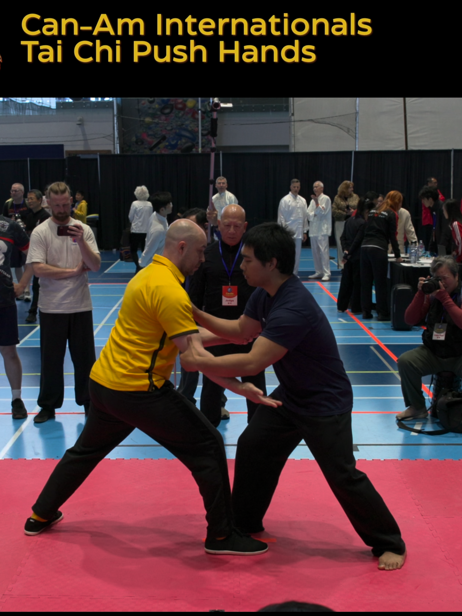 @Shoreline Tai Chi