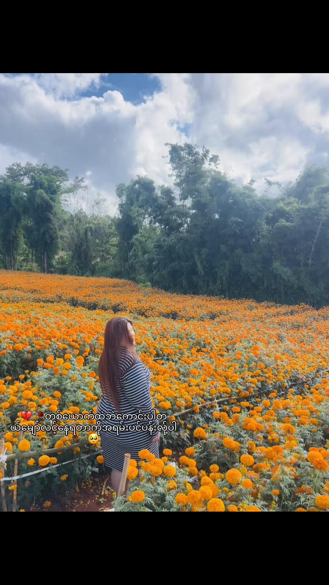 @NANN AOM SENG