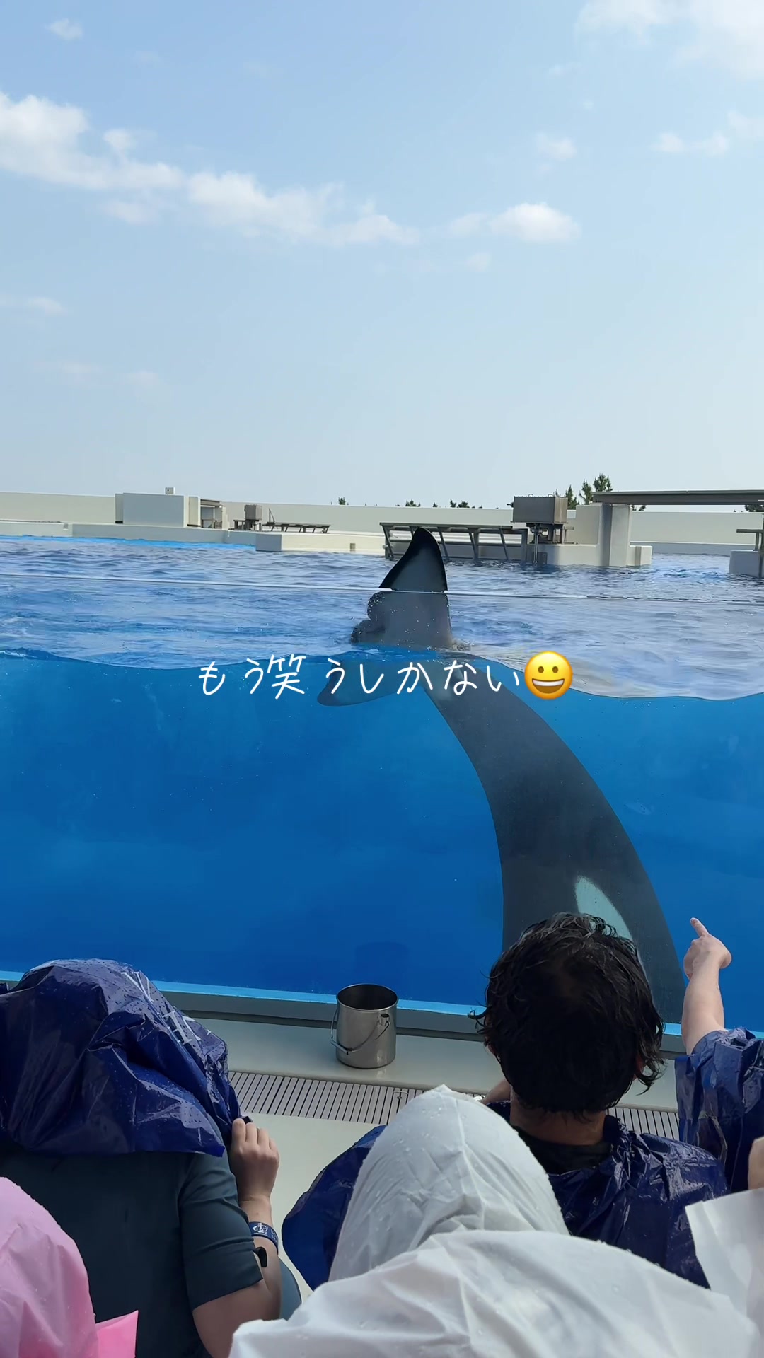 @シャチ大好きそらら🫍🫧🍀