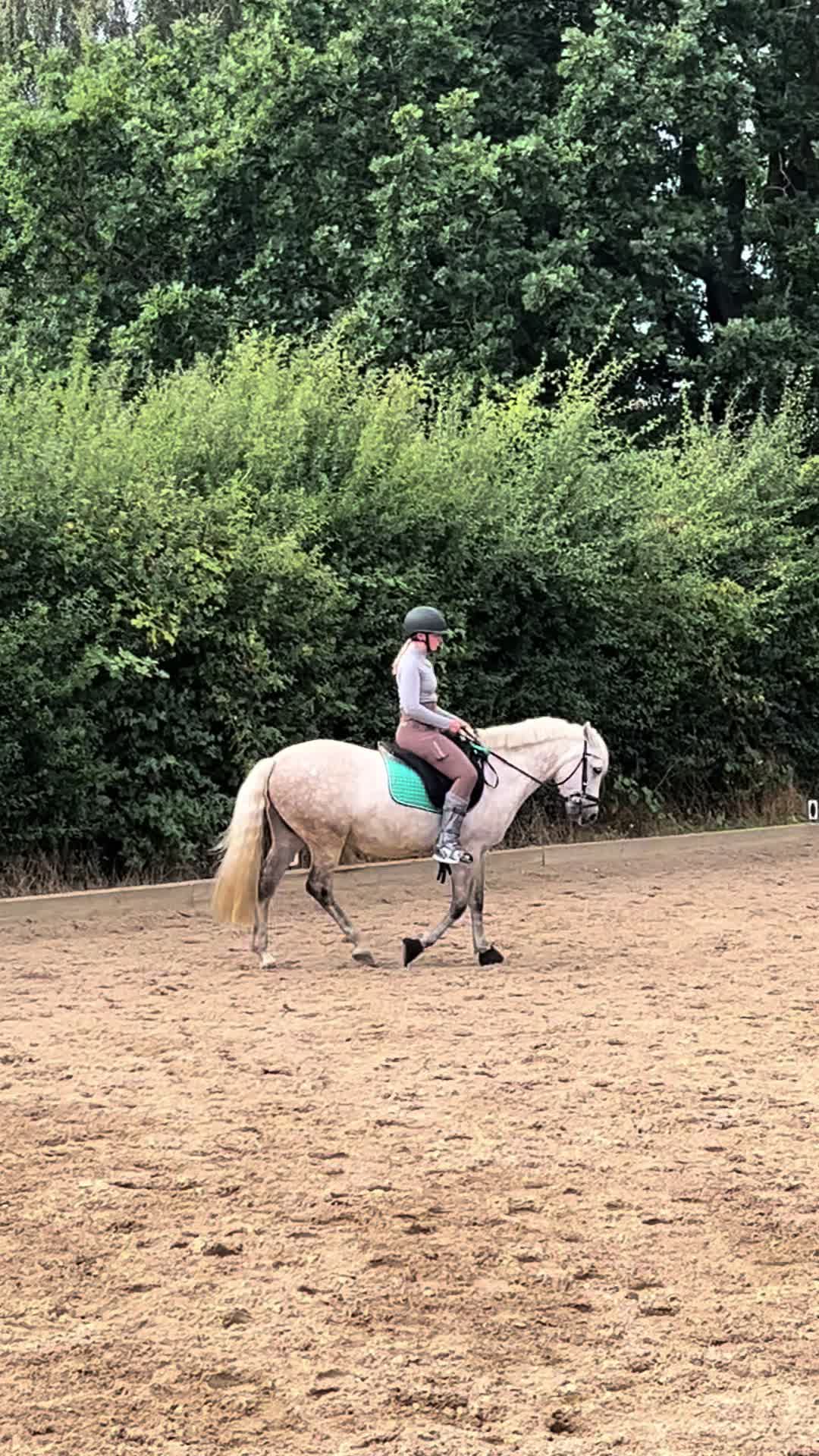@sunny_the_pony20