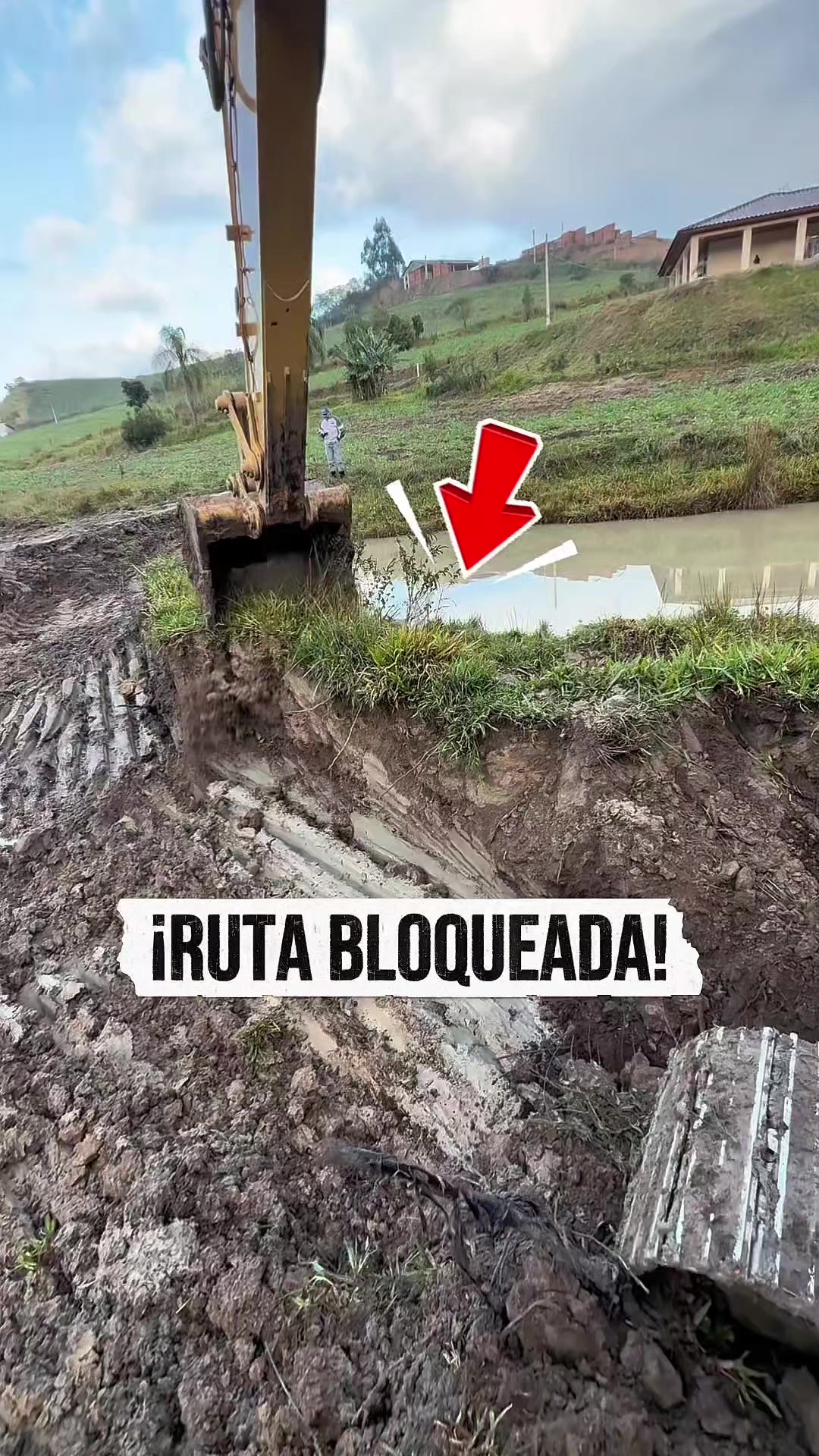 @IngeniaPro
