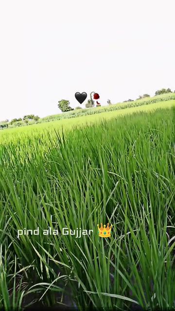 @مظہرگجر⚜️