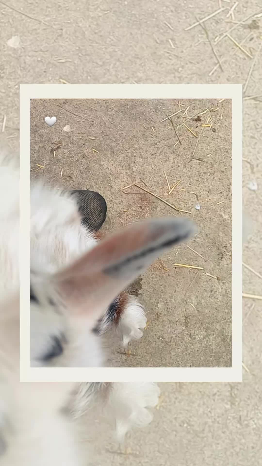 @🦚🆃𝓲𝓮𝓻🅿𝓪𝓻𝓴🆃𝓸𝓴🦚