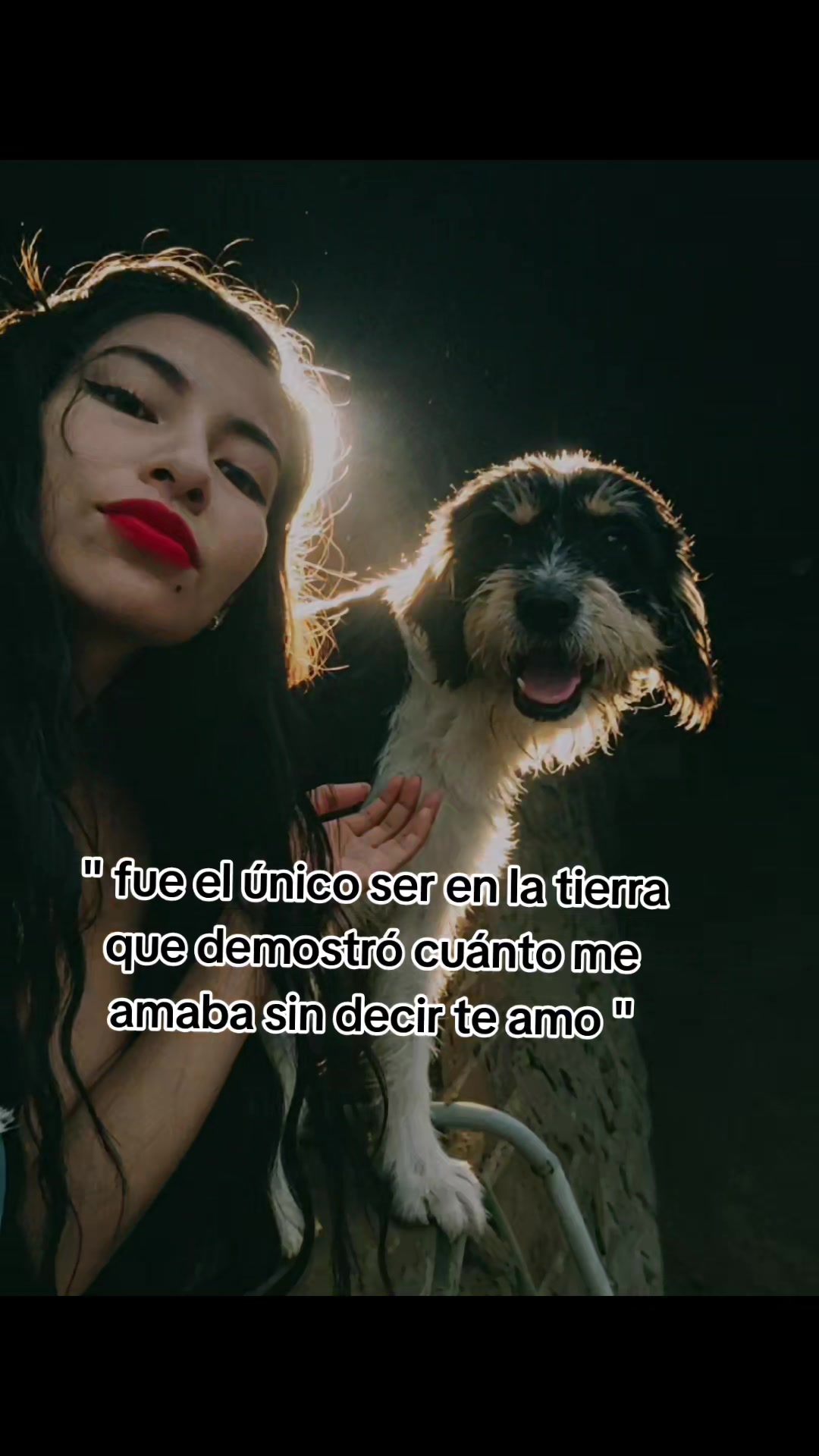 @🦉Dalia 🇵🇪🦍🍒🐜