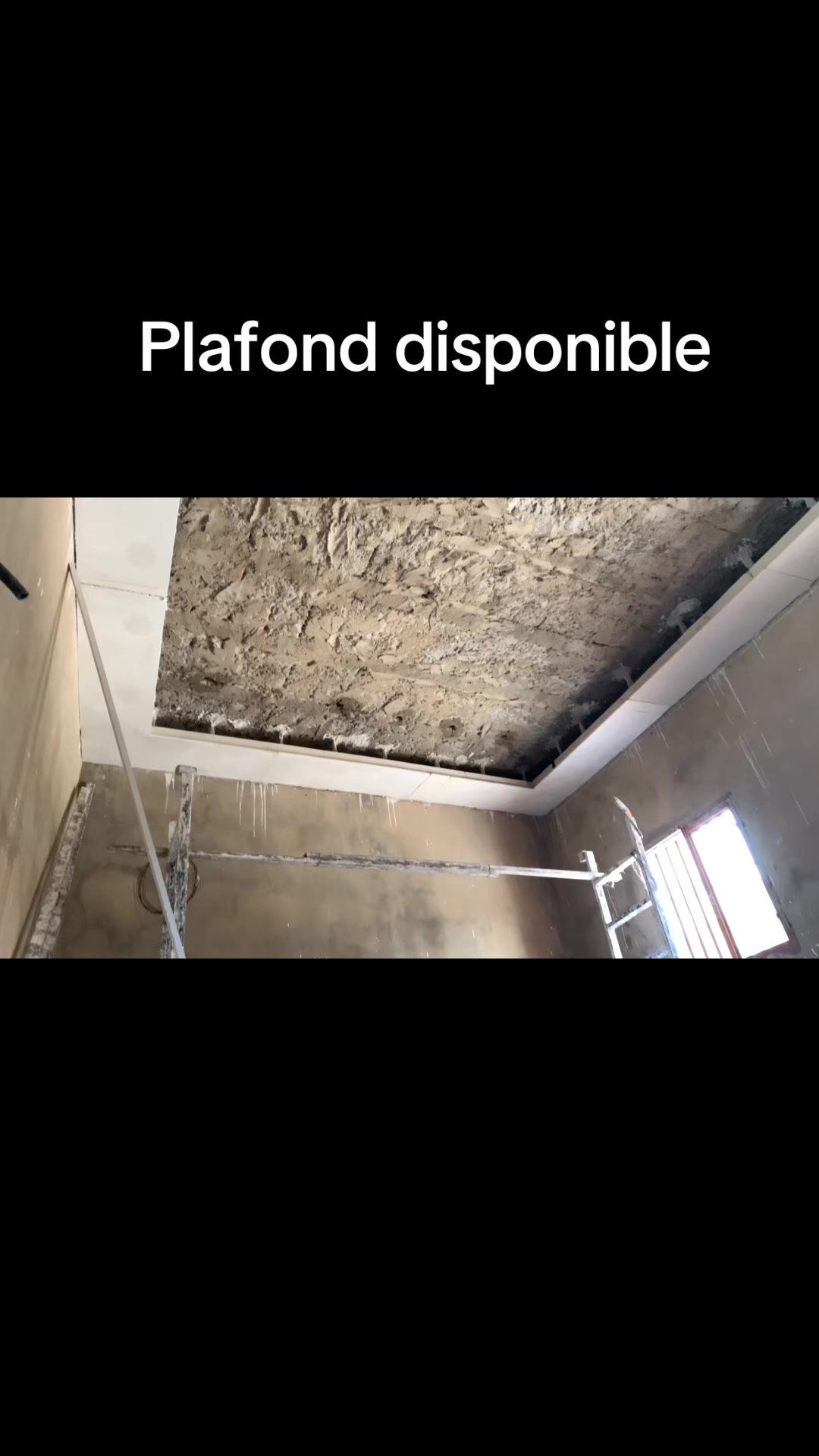 @Plafond 241✪🦺