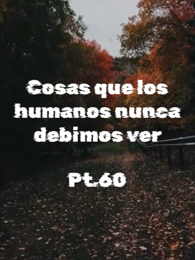 @Categorías Máster
