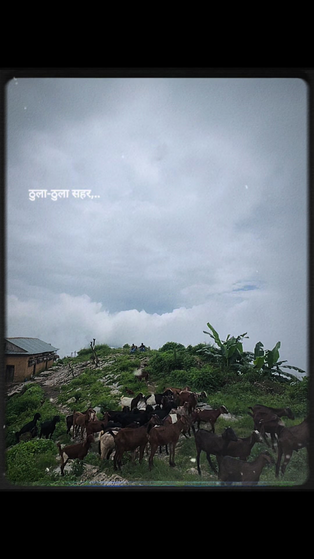 @🇳🇵akprofiles🇳🇵