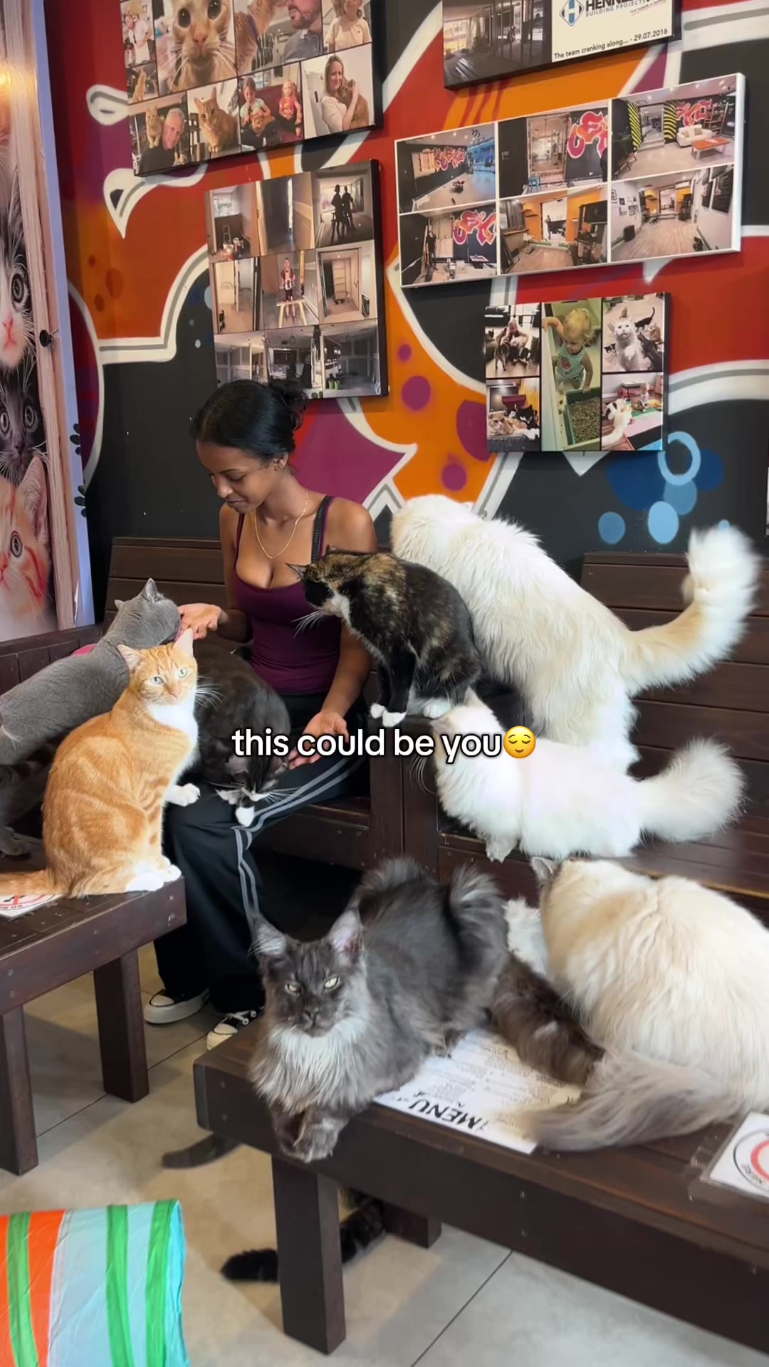 @crazycatcafe