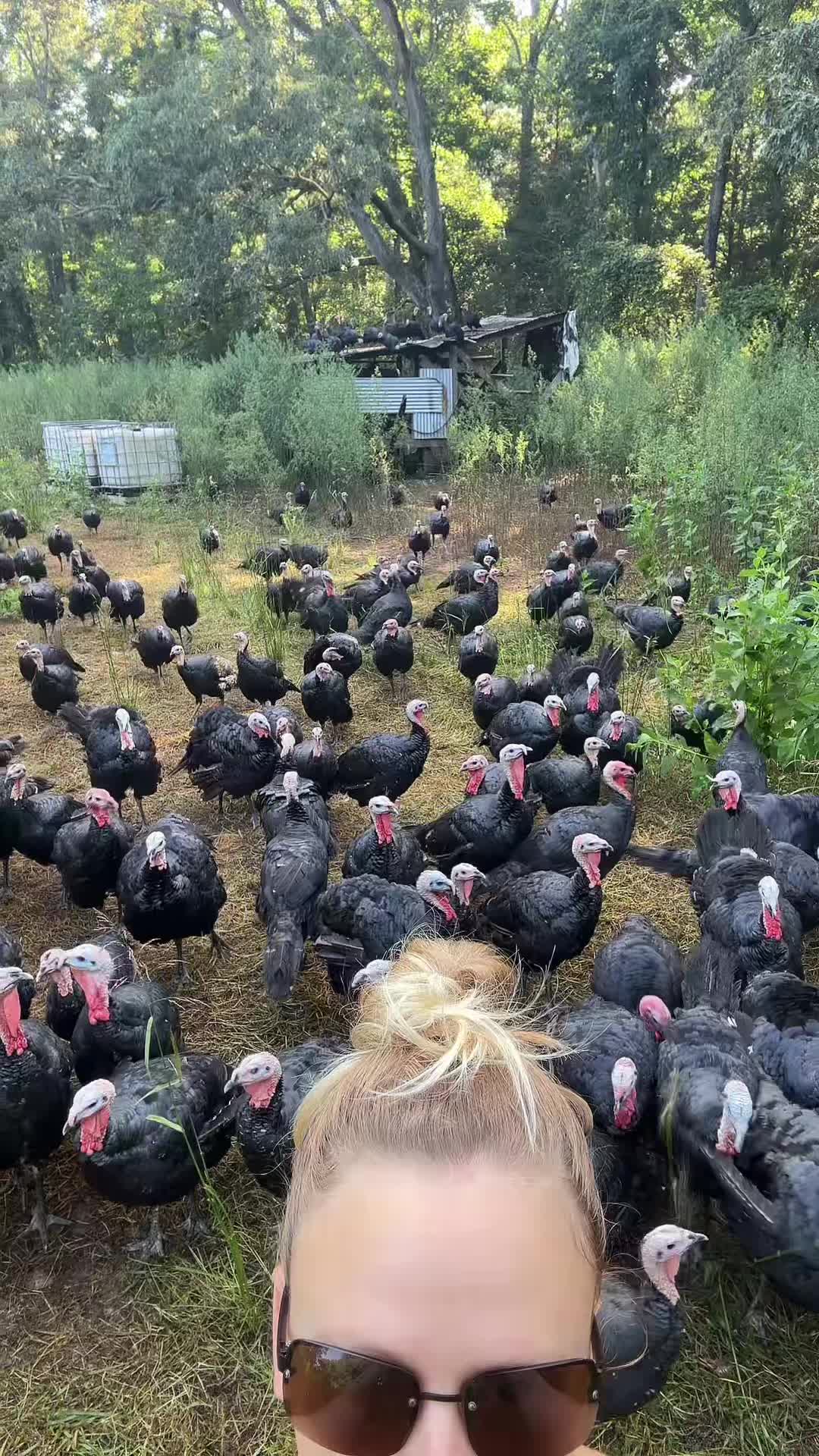 @farmerandtheharpiist