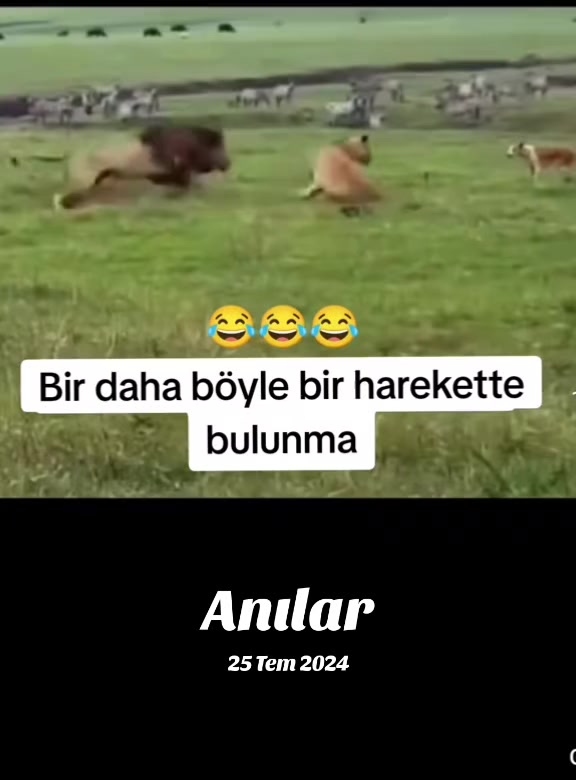 @Kömür Gözlüm