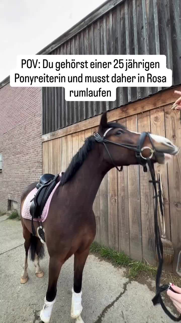 @ne.horses
