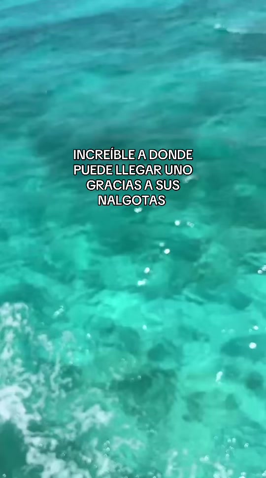 @Karla Marentes Soto