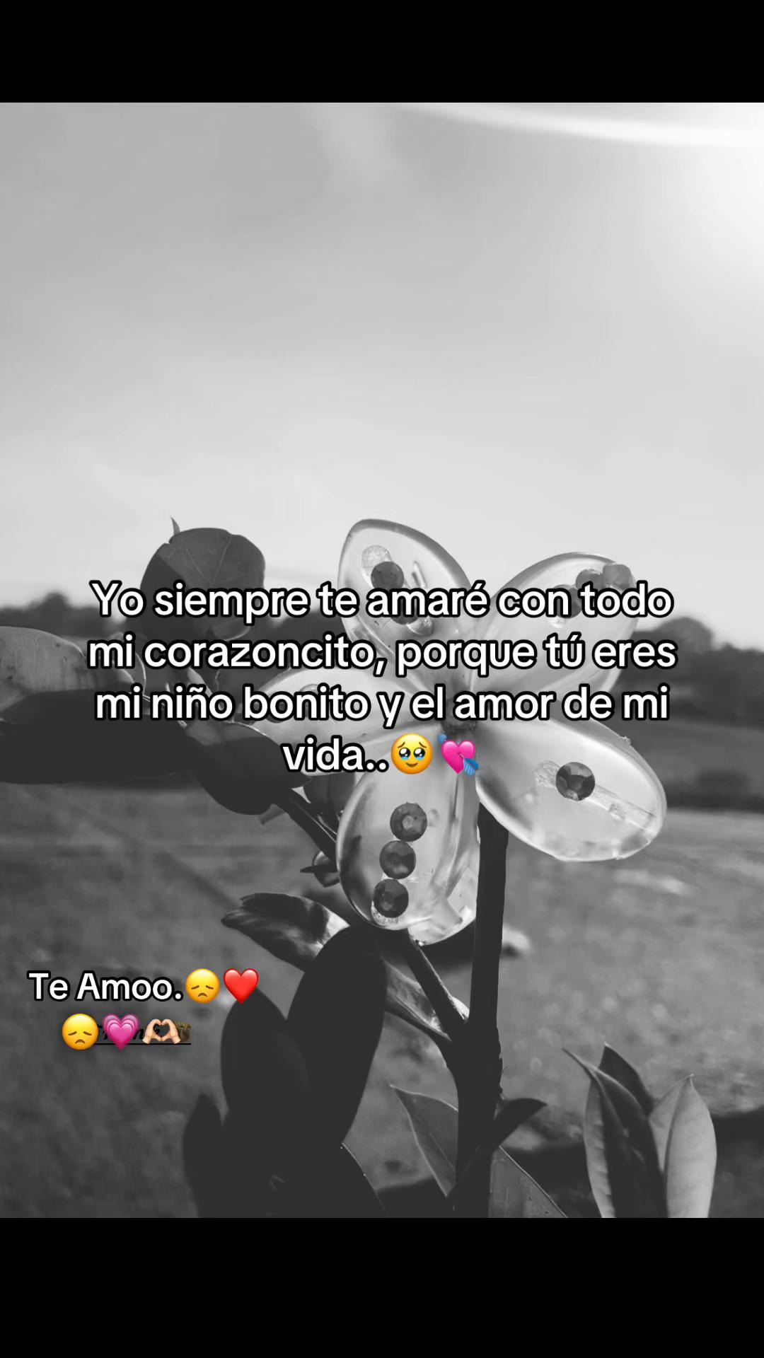 @𝓔𝓵𝔂.➳💔︎︎👤