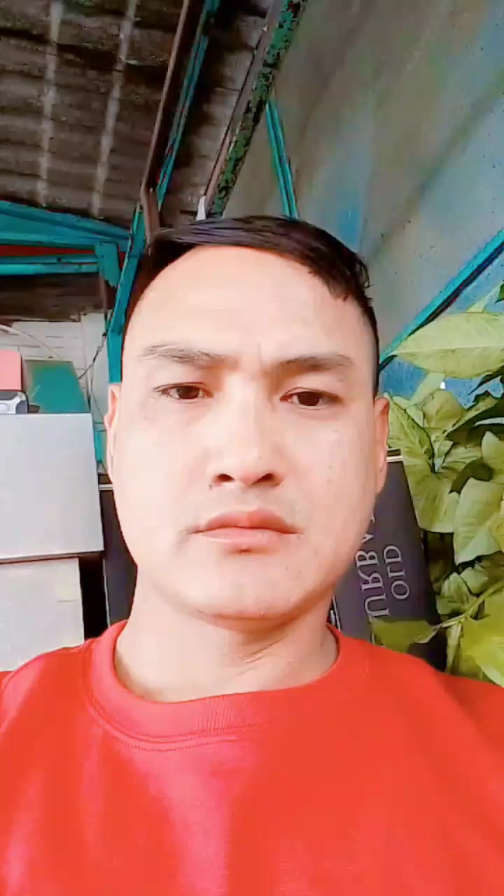 @TMG KO XORO