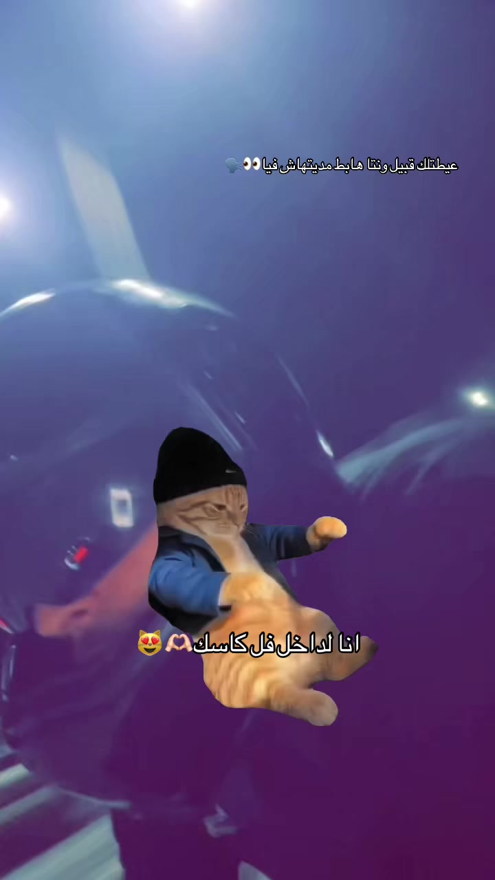 @salah_akacha