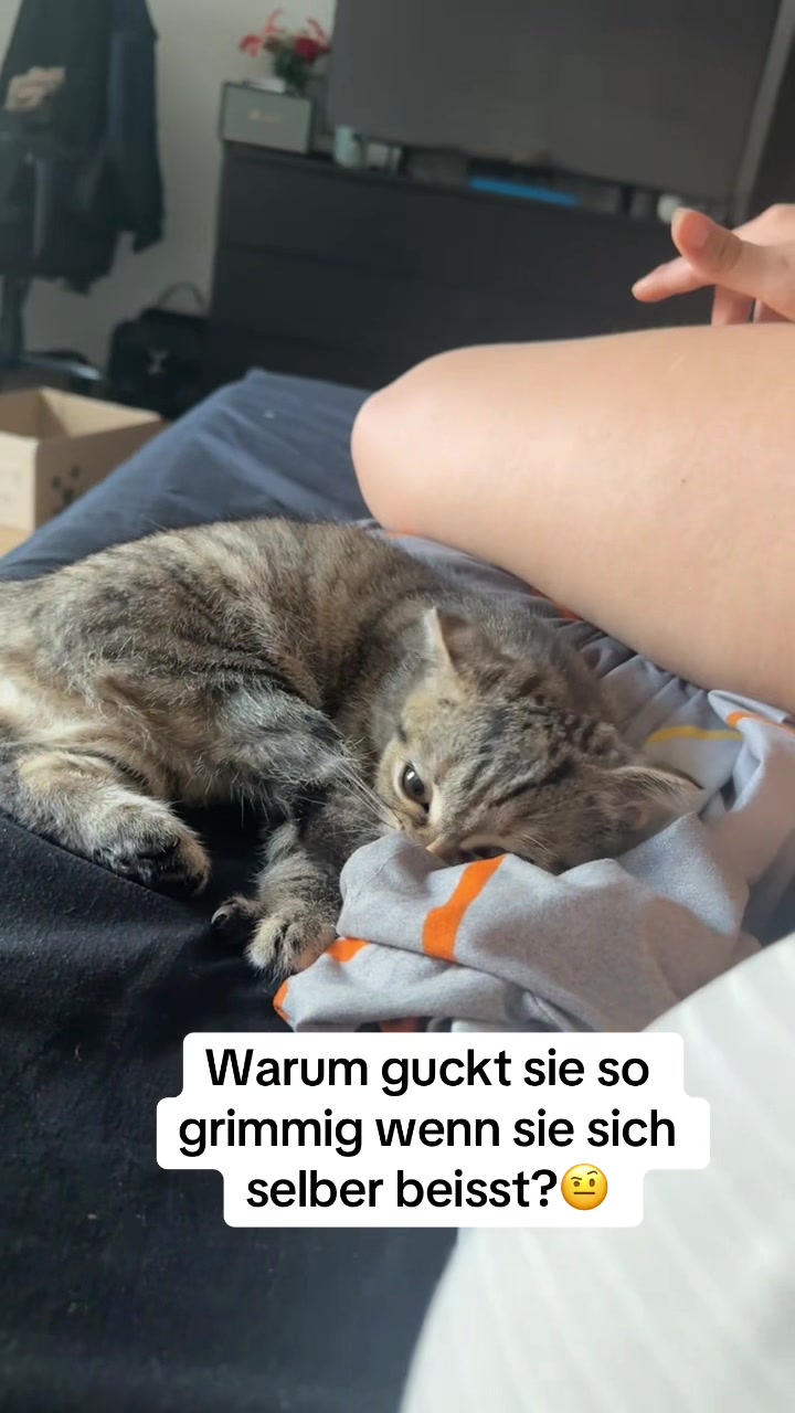 @Divaurteilt