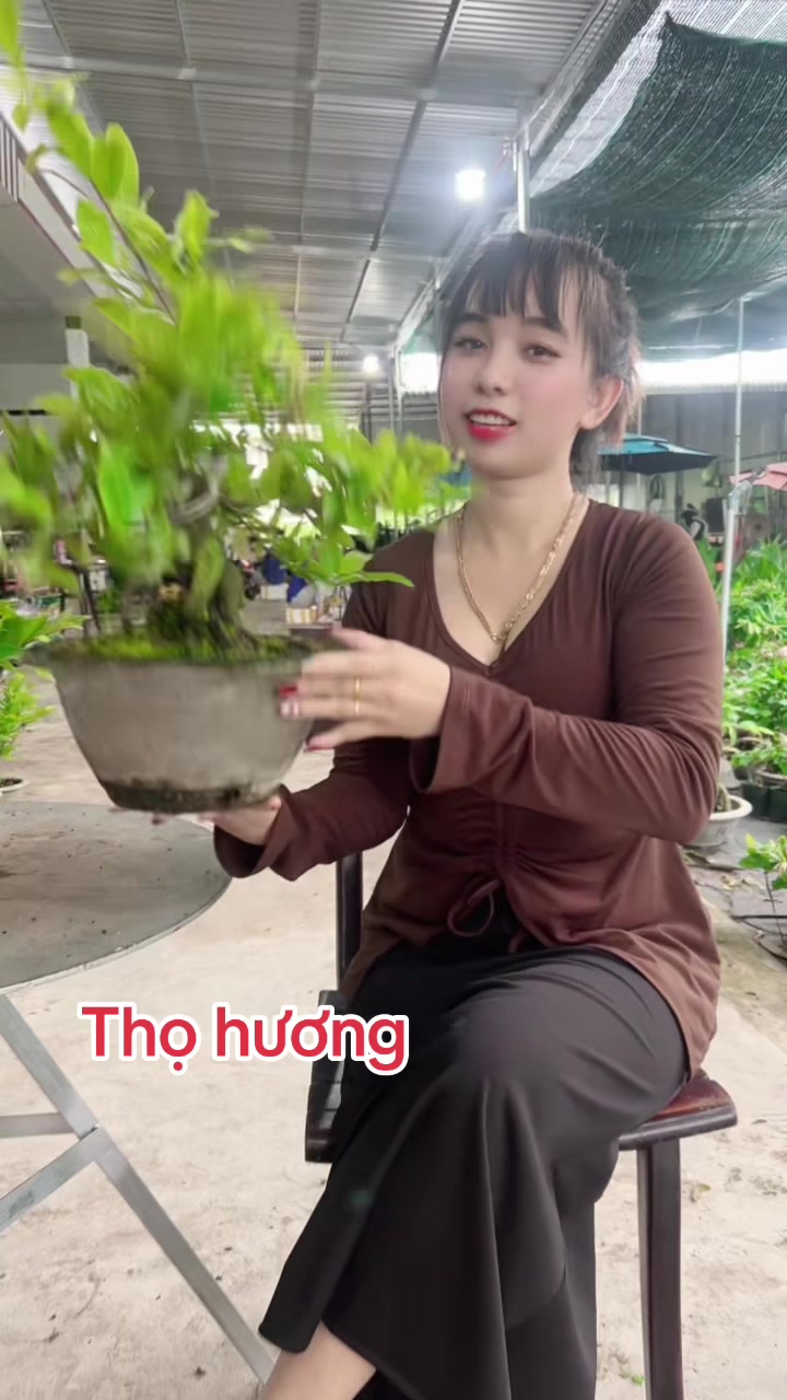 @Chichchoebong79