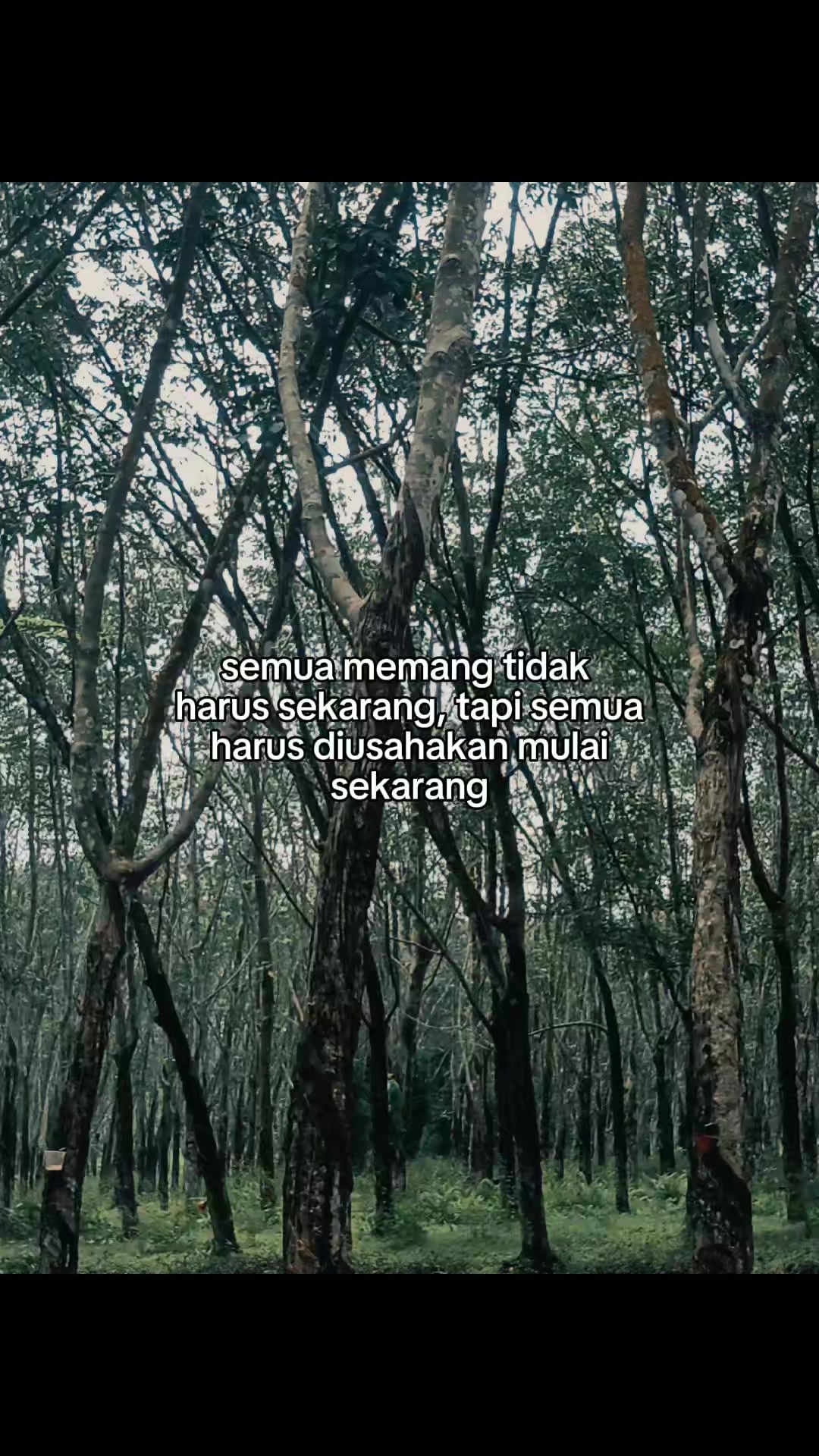 @Hi , aku ria