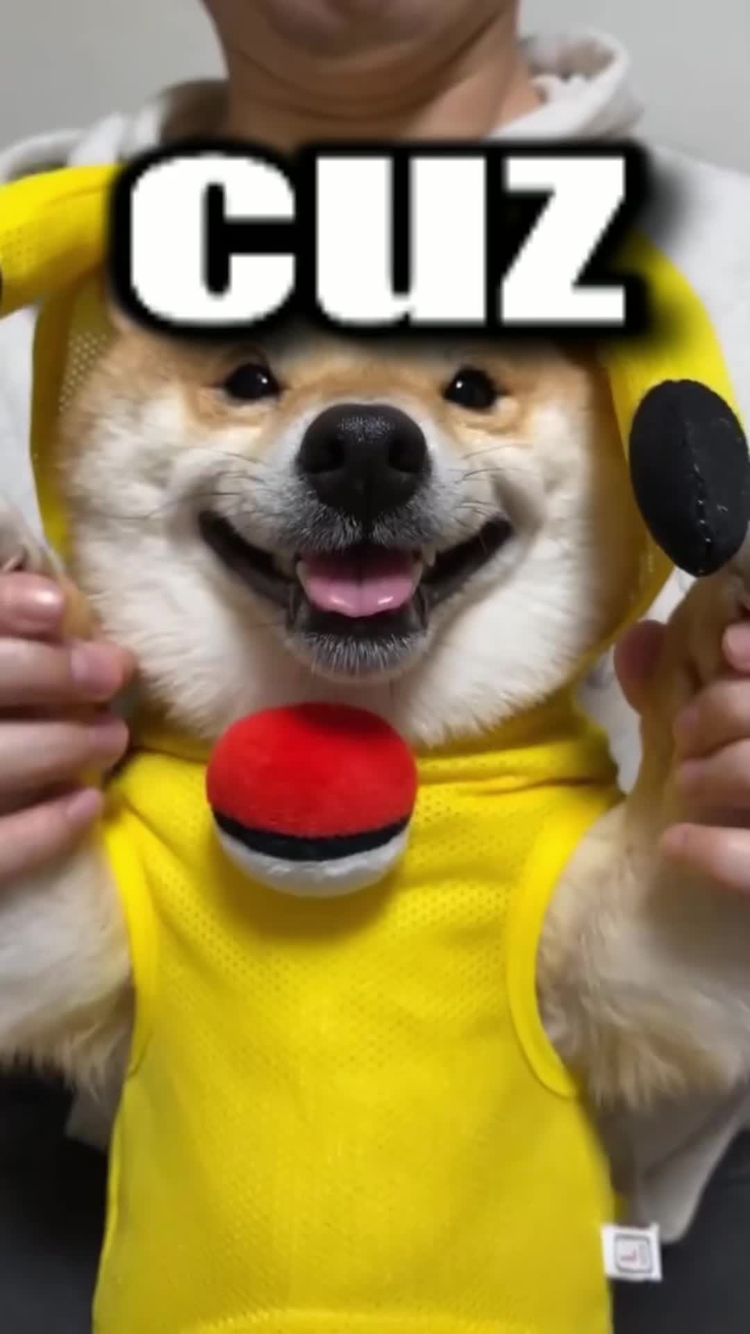 @top dawg
