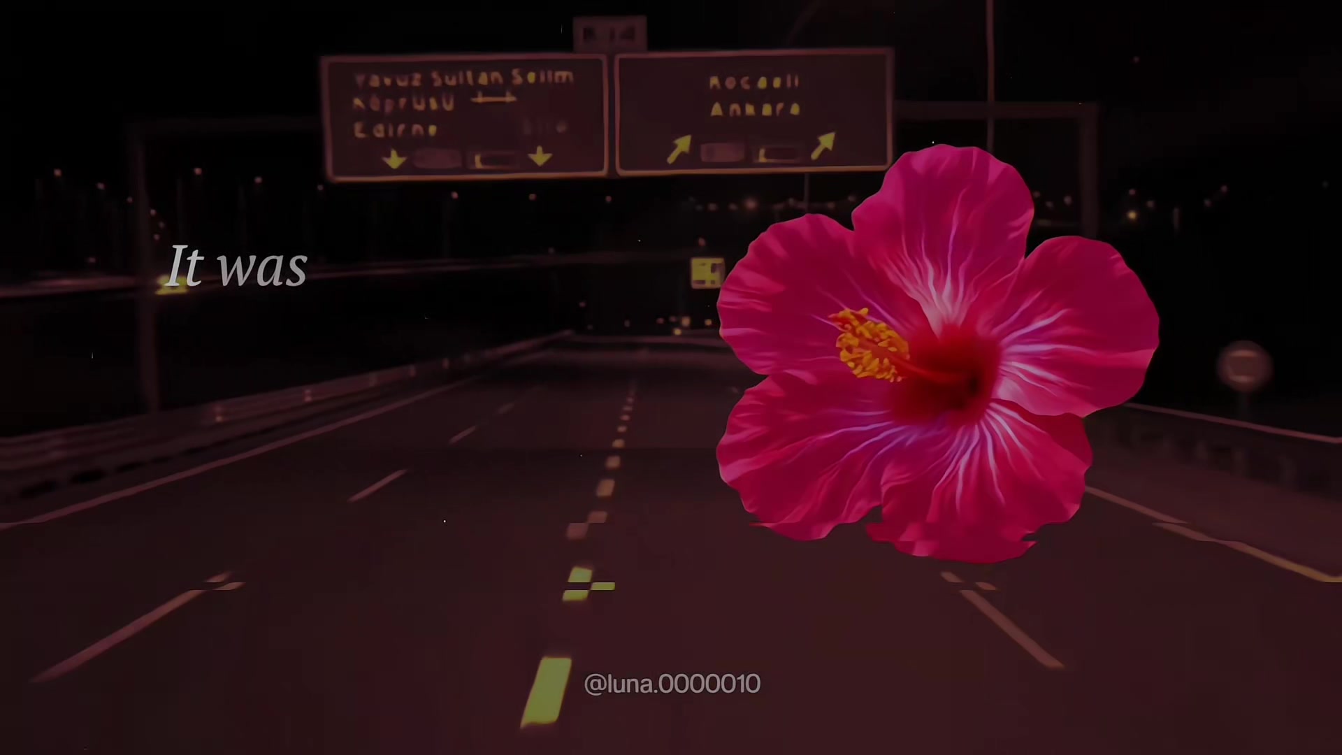 @L U N A ☾ ⋆