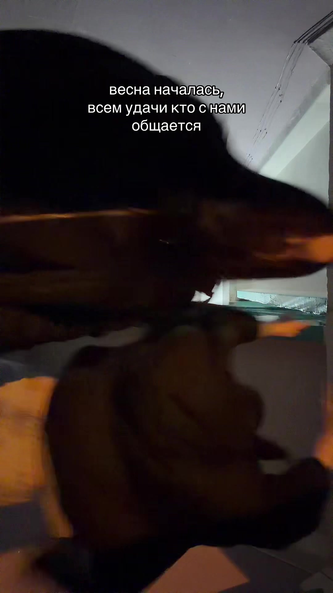 @есик🤍