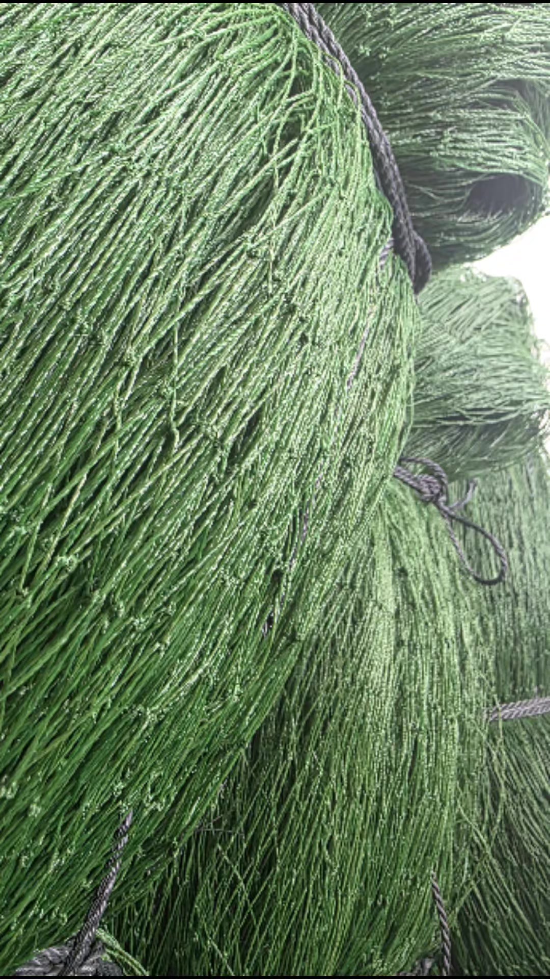 @Đi khắp nẻo B&Aacute;N ĐỒ BỀN GI&Aacute; TỐT