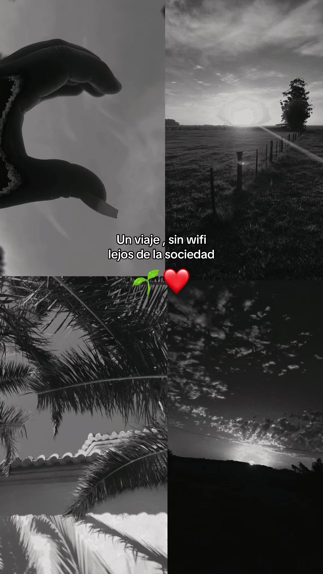 @🌸❤️🥰