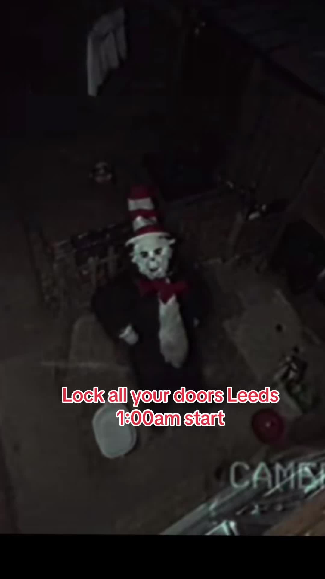 @THE REAL CAT IN THE HAT