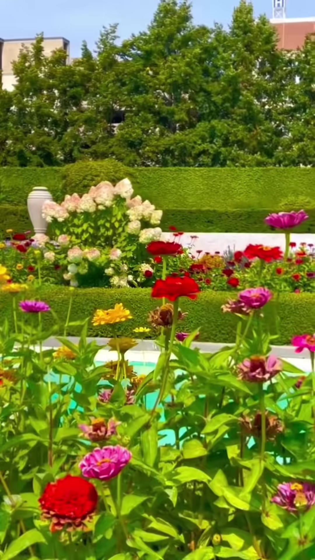 @CHAUDHARY🇨🇦🇵🇰