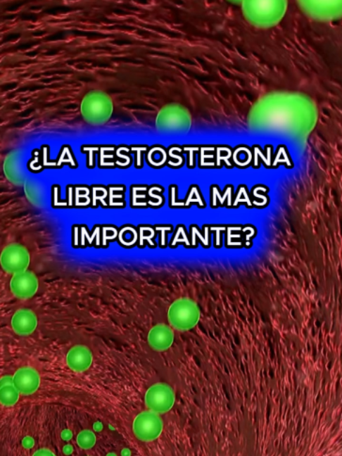 @PAULOSTERON
