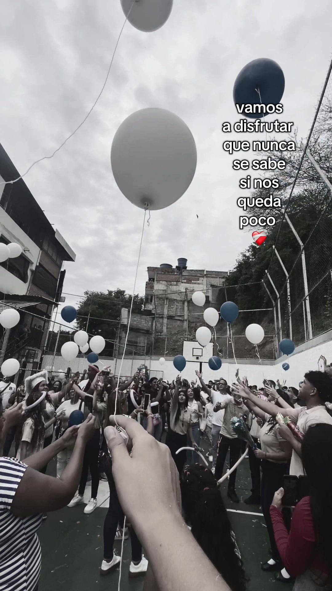 @𝑷𝑹𝑶𝑴𝑶 𝑿𝑿𝑰𝑿 💙