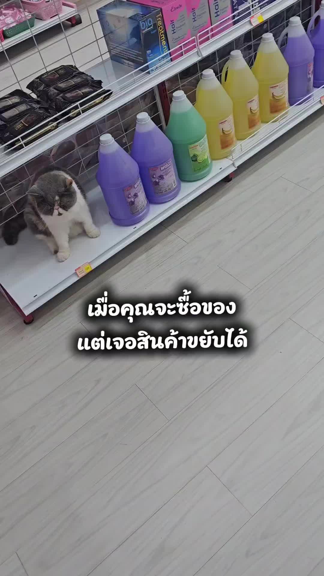 @Krupattyครูคณิตสายไฮเปอร์